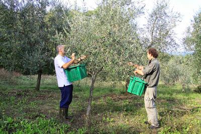 quelli del cordino