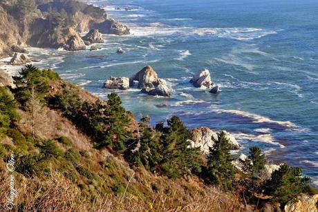 Strade panoramiche negli USA: il Big Sur