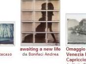 Foto della settimana