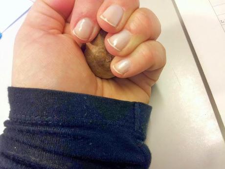 La Dolcezza delle Piccole Cose