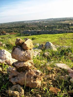 Vivendo il territorio