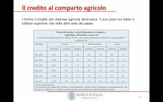 La situazione del mercato del credito e il settore agricolo