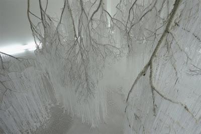 Il giardino d'inverno