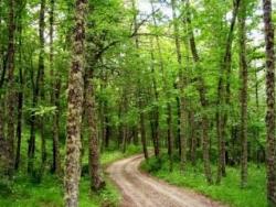 parcoappenninolucano1