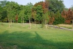 progettazioneareeverdi1