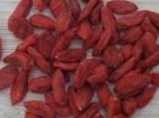 semi goji