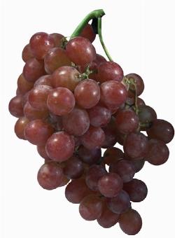 grappolo d'uva