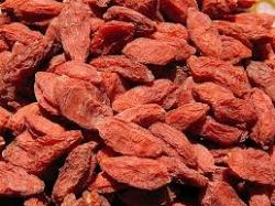 bacchegojiposologia1