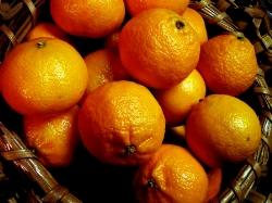 Arance amare