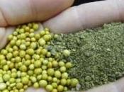 concimi lenta cessione