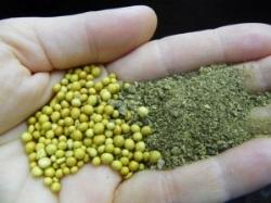 concimilentacessione