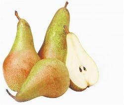 varietà pero Abata Fètel