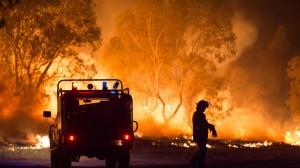 Incendi in Australia. Stato di emergenza nel Nuovo Galles del sud per far fronte alla battaglia contro le fiamme che minacciano le case.