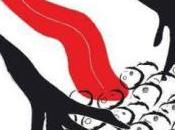 Conflitto confronto, ecco Democrazia
