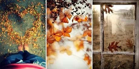 Loving Autumn: tutto cio' che e' autunno e fa autunno