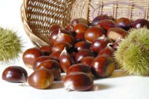 castagne