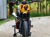 Triumph Motard Free Spirits