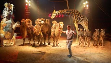 È possibile vietare l’uso di animali nel circo?