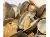 Ferro tavola, ecco dove trovarlo: vongole, fegato, pistacchi…