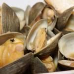 Ferro a tavola, ecco dove trovarlo: vongole, fegato, pistacchi…