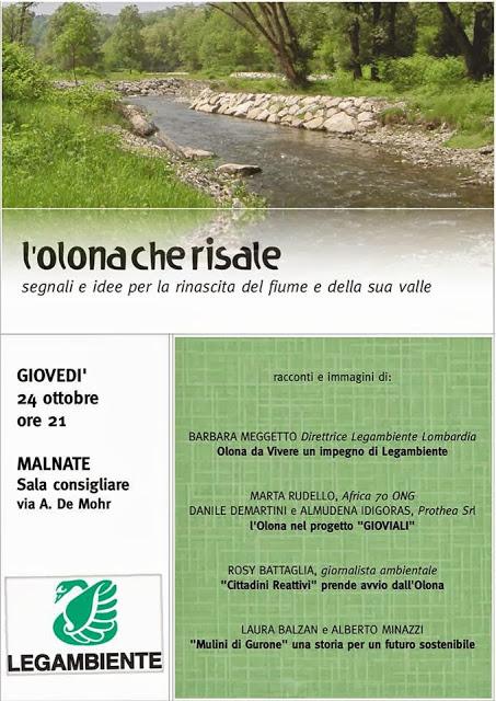 L' Olona che risale