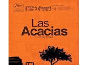 acacias