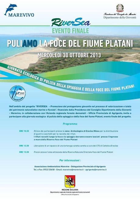 1383693_542231665853527_238185378_n