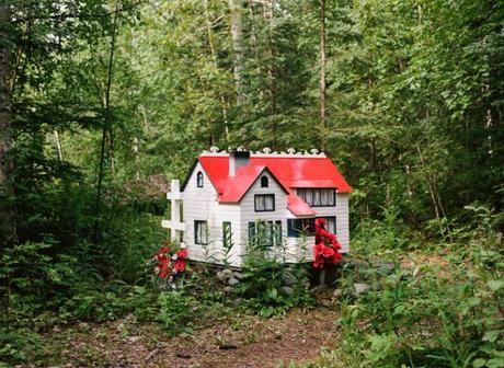 2984696819_d0a0b9aecd_b