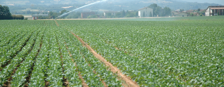 Lombardia – legge di stabilità: agricoltura dimenticata