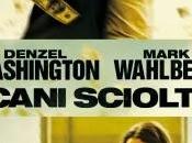 Cani Sciolti Recensione daruma-view.it