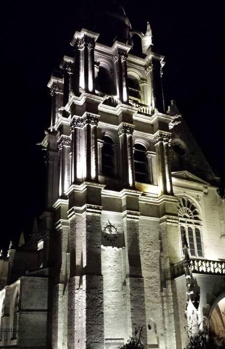 Il castello di Amboise e vedute della cittadina sulla Loira. Foto M.Massone