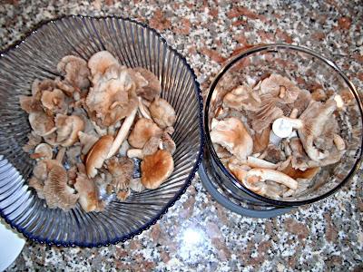 Cannelloni di crêpe ai funghi e feta