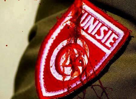 1378239_447858675335877_1948099587_n