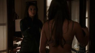 Agents Of S.H.I.E.L.D. 1x05 - Basta con sti sentimenti...