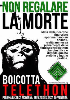 Vivisezione: gli ultimi giorni per fermare il massacro