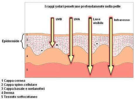 penetrazione_raggi_solari_nella_pelle