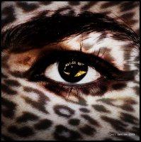 cecilia robert - panther eye