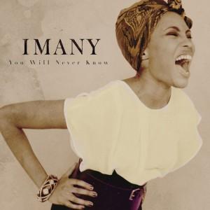 Cover Imany - You Will Never Know