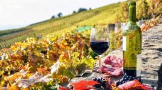 L'AUTUNNO E' DI...VINO SUI COLLI EUGANEI