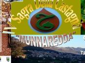 Sagra della Castagna &#8220;munnaredda&#8221; &#8211; Tramutola 26/27 ottobre 2013 centro storico