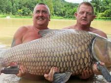 Carpa record pescata thailandia