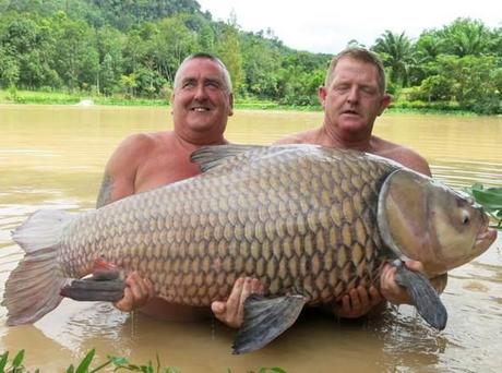 Thailand record monster carp