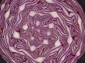 cavolo