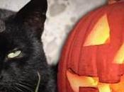 Luoghi Misteriosi Misteri Bestiali: Halloween sfatiamo mito gatto nero