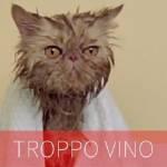 I gatti leccano tutto: lo spot diventa virale (Video)