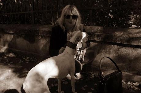 VIOLA VINCA UNA BORSA CAPIENTE PER L'IMPEGNO DI MICROMEGA