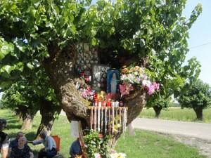 Viaggio a San Bonico, la Medjugorje italiana