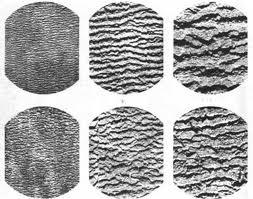 Quali sono le differenze tra blistering e graining