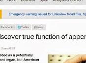 Scienziati affermano l'appendice abbia funzione custodire microflora riserva ripopolare l'intestino caso necessità