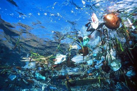 Inquinamento nell'Oceano Pacifico